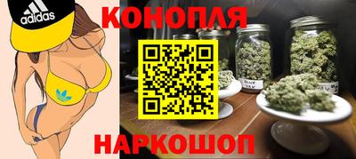 прущие грибы Лесосибирск
