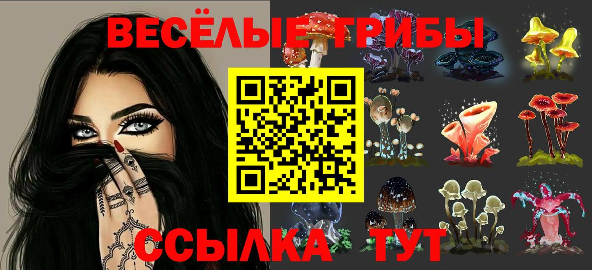 Псилоцибиновые грибы ЛСД  Вход с VPN  Бузулук  Галлюциногенные грибы MAGIC MUSHROOMS 